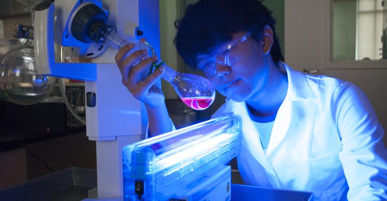 Students conducting research in a lab