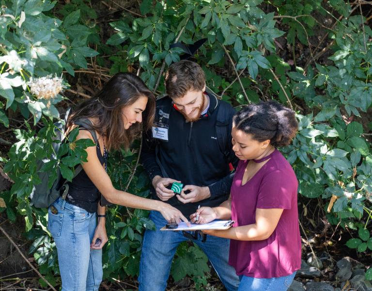 Students conducting research outside