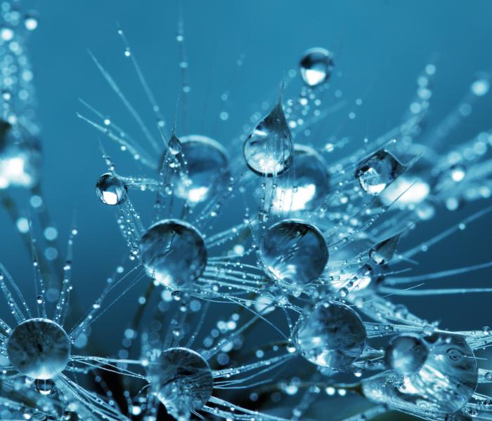 Water drops