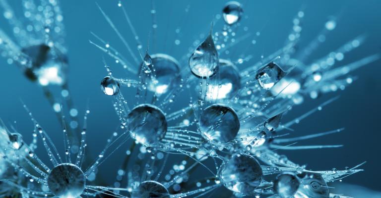 Water drops
