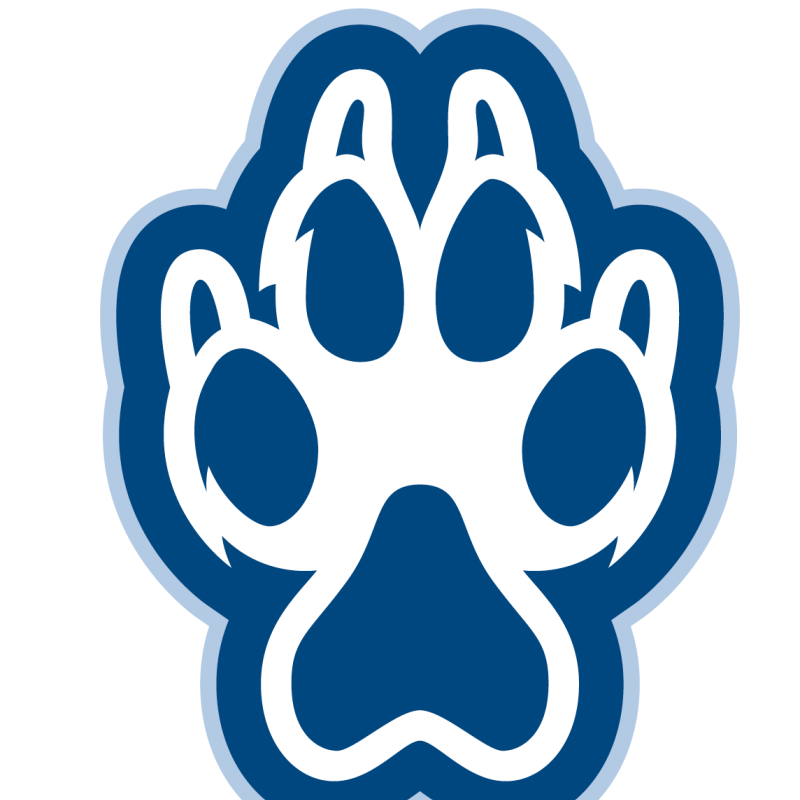 Lobo paw